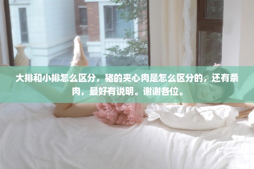 大排和小排怎么区分，猪的夹心肉是怎么区分的，还有条肉，最好有说明。谢谢各位。