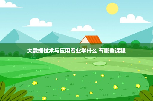 大数据技术与应用专业学什么 有哪些课程