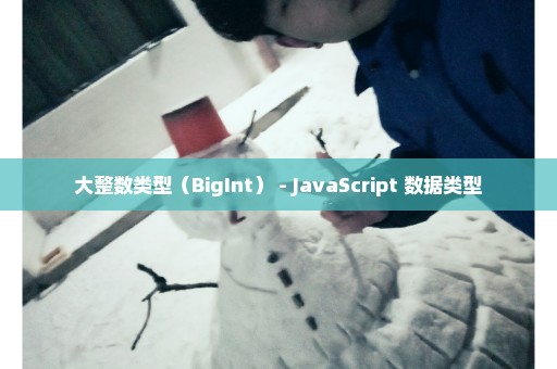 大整数类型（BigInt） - JavaScript 数据类型
