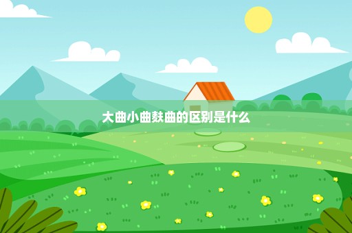 大曲小曲麸曲的区别是什么