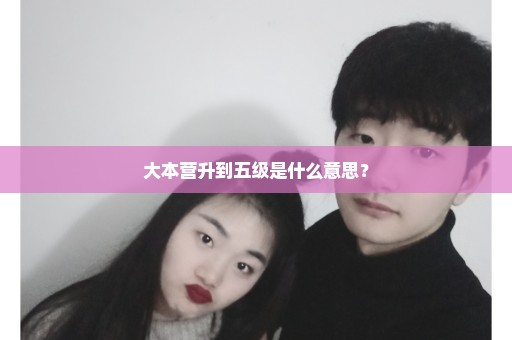大本营升到五级是什么意思？