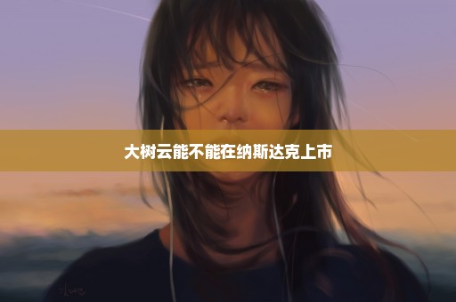 大树云能不能在纳斯达克上市