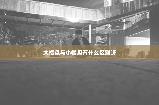大楼盘与小楼盘有什么区别呀