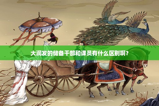 大润发的储备干部和课员有什么区别啊？