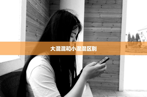 大混混和小混混区别