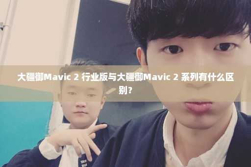 大疆御Mavic 2 行业版与大疆御Mavic 2 系列有什么区别？