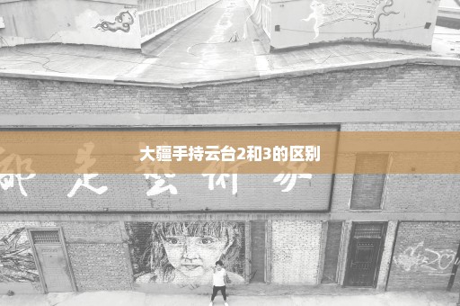 大疆手持云台2和3的区别