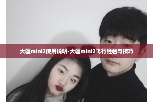 大疆mini2使用说明-大疆mini2飞行经验与技巧