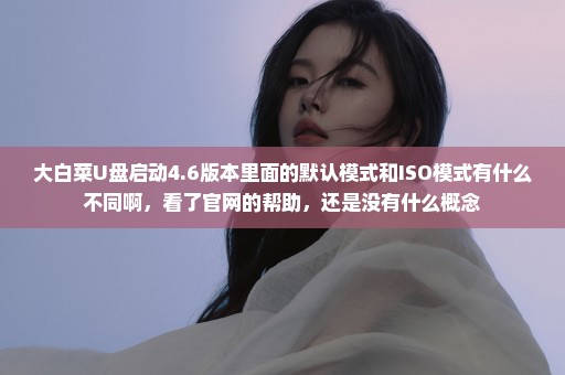 大白菜U盘启动4.6版本里面的默认模式和ISO模式有什么不同啊，看了官网的帮助，还是没有什么概念