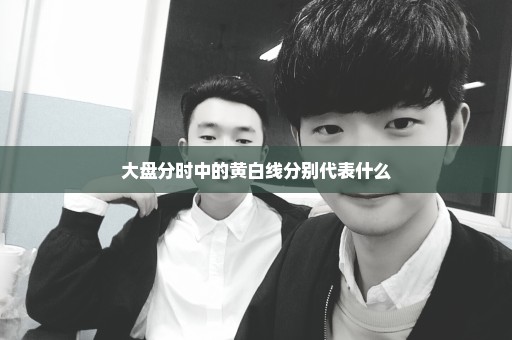 大盘分时中的黄白线分别代表什么