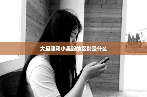 大盘股和小盘股的区别是什么
