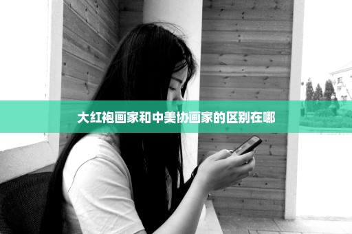 大红袍画家和中美协画家的区别在哪