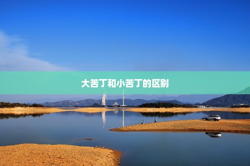 大苦丁和小苦丁的区别