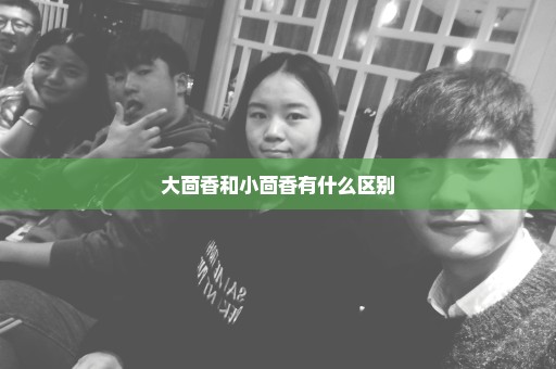 大茴香和小茴香有什么区别