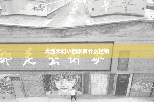 大西米和小西米有什么区别