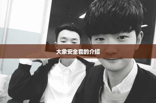 大象安全套的介绍