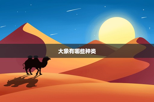 大象有哪些种类