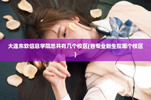 大连东软信息学院总共有几个校区(各专业新生在哪个校区)