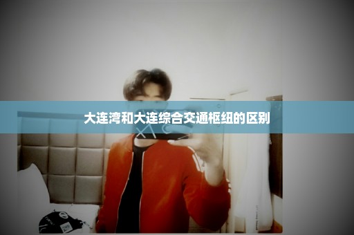 大连湾和大连综合交通枢纽的区别