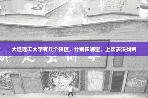 大连理工大学有几个校区，分别在哪里，上次去没找到