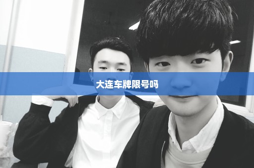 大连车牌限号吗