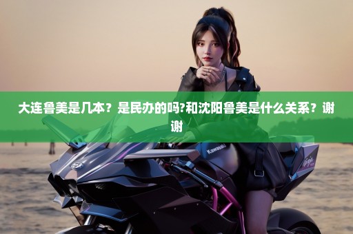大连鲁美是几本？是民办的吗?和沈阳鲁美是什么关系？谢谢