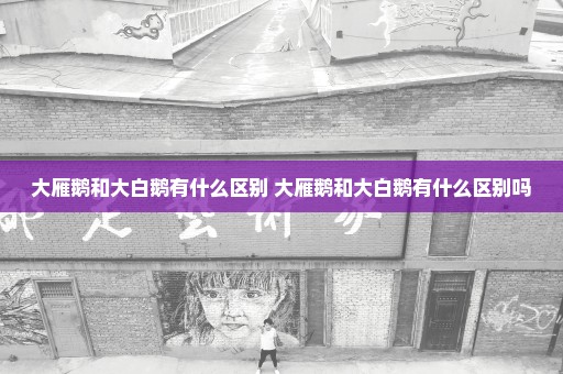 大雁鹅和大白鹅有什么区别 大雁鹅和大白鹅有什么区别吗