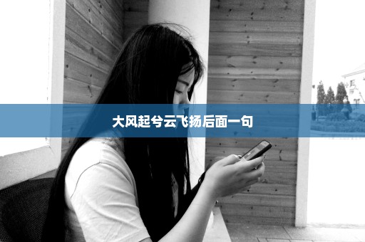 大风起兮云飞扬后面一句