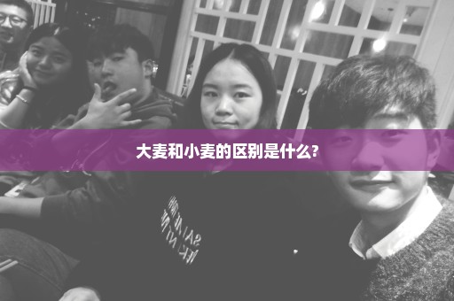 大麦和小麦的区别是什么?