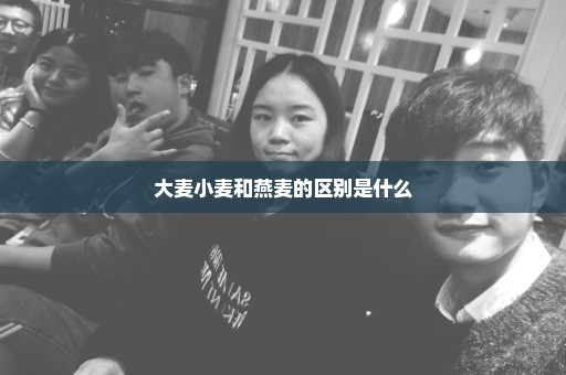 大麦小麦和燕麦的区别是什么