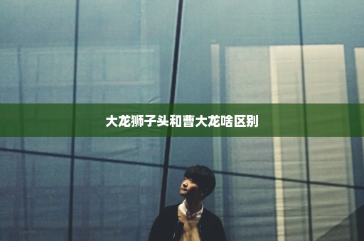 大龙狮子头和曹大龙啥区别