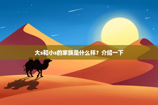 大s和小s的家族是什么样？介绍一下