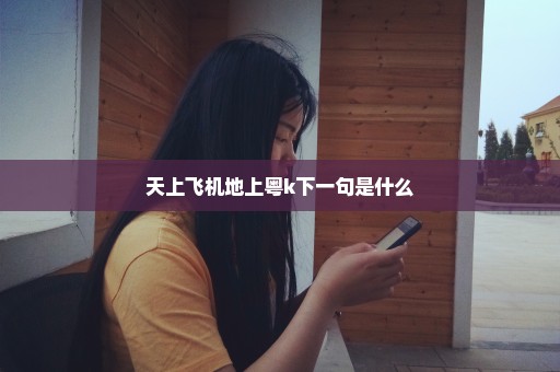 天上飞机地上粤k下一句是什么