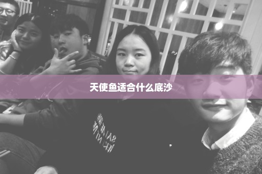 天使鱼适合什么底沙