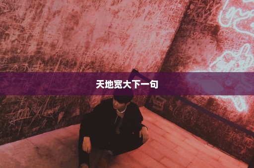 天地宽大下一句