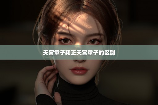 天宫童子和正天宫童子的区别
