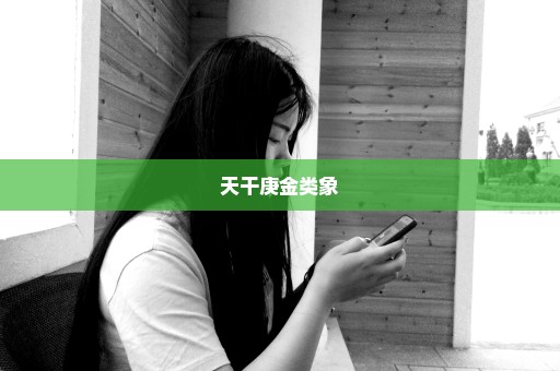 天干庚金类象