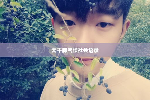 天干脾气躁社会语录