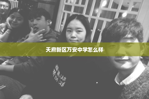 天府新区万安中学怎么样