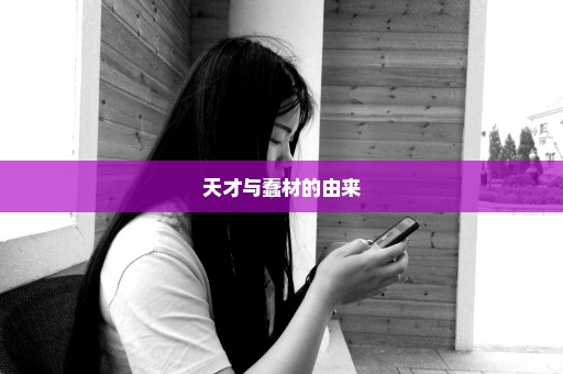 天才与蠢材的由来