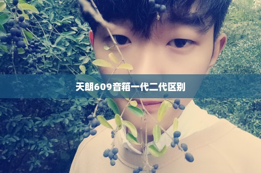 天朗609音箱一代二代区别