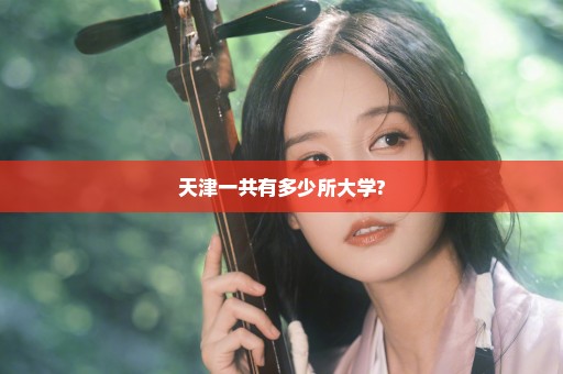 天津一共有多少所大学?