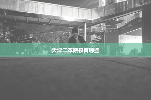 天津二本院校有哪些