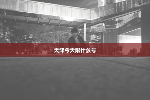 天津今天限什么号