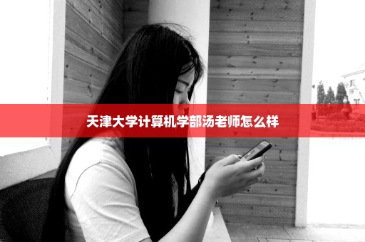 天津大学计算机学部汤老师怎么样