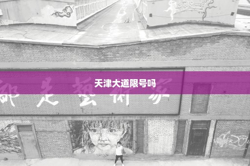 天津大道限号吗