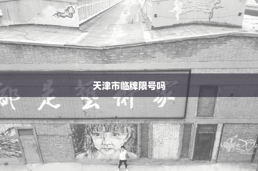 天津市临牌限号吗