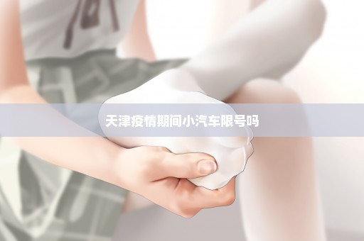 天津疫情期间小汽车限号吗