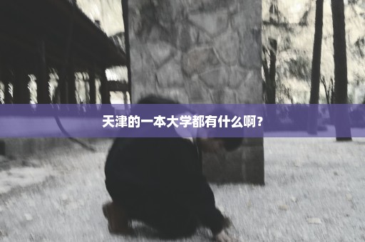 天津的一本大学都有什么啊？