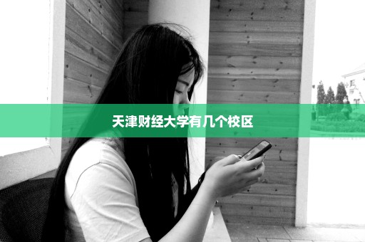天津财经大学有几个校区